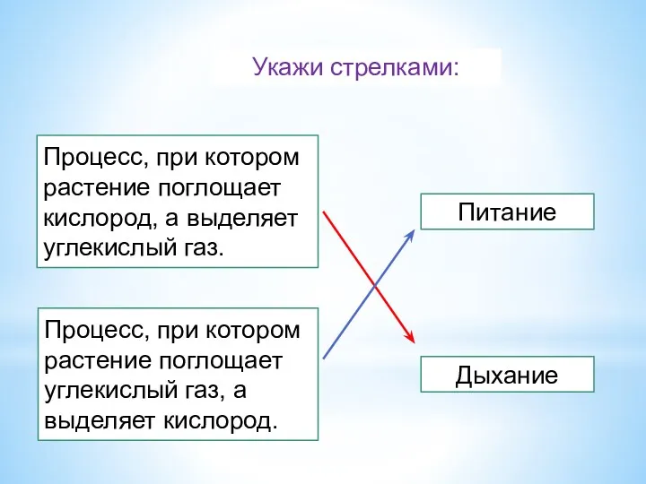 Укажи стрелками: Процесс, при котором растение поглощает кислород, а выделяет