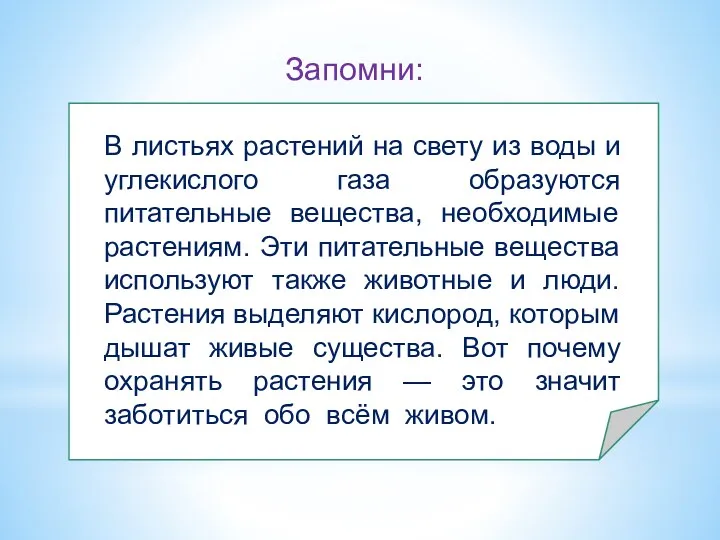 В листьях растений на свету из воды и углекислого газа