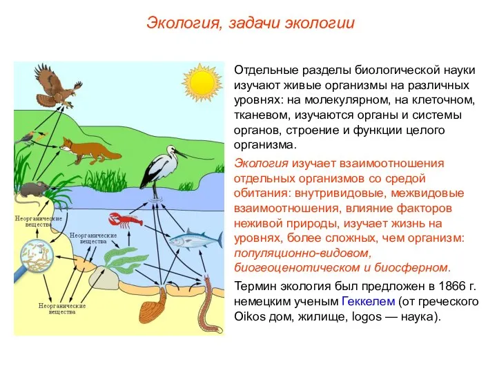 Отдельные разделы биологической науки изучают живые организмы на различных уровнях: