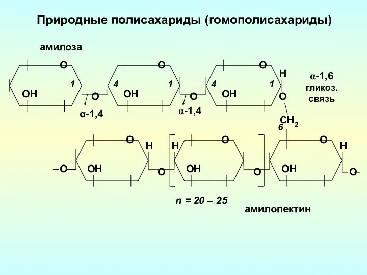 О О О О Природные полисахариды (гомополисахариды) О ОН α-1,4