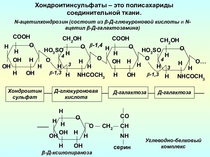 Хондроитинсульфаты – это полисахариды cоединительной ткани. ОH H H OH