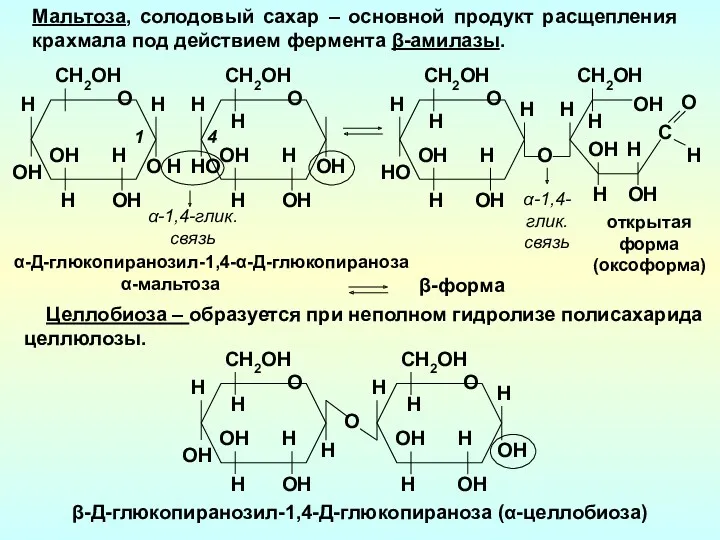 H OH H ОH O H CН2OH OH α-мальтоза H