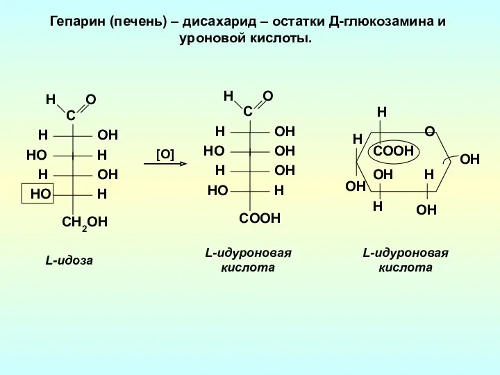 Гепарин (печень) – дисахарид – остатки Д-глюкозамина и уроновой кислоты.