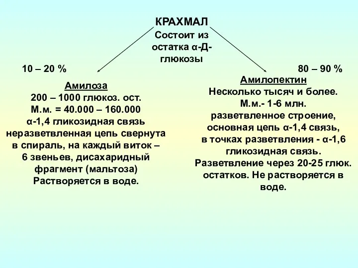 Амилоза 200 – 1000 глюкоз. ост. М.м. = 40.000 –