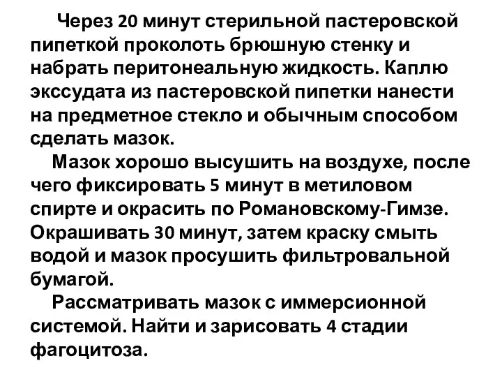 Через 20 минут стерильной пастеровской пипеткой проколоть брюшную стенку и