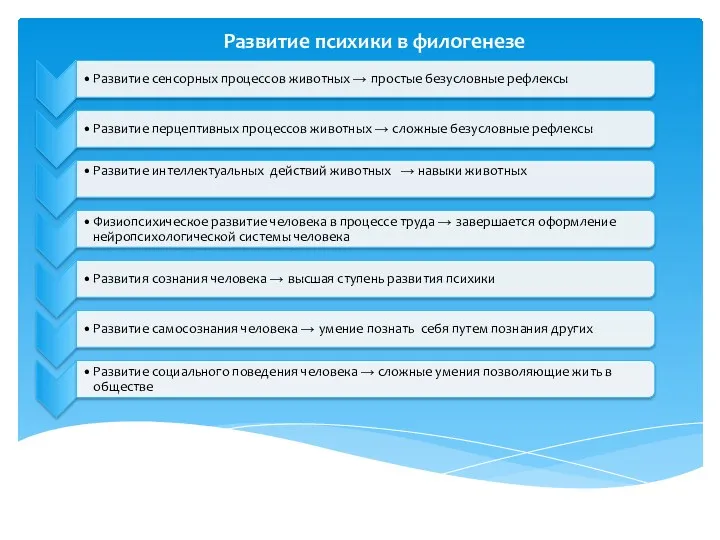 Развитие психики в филогенезе