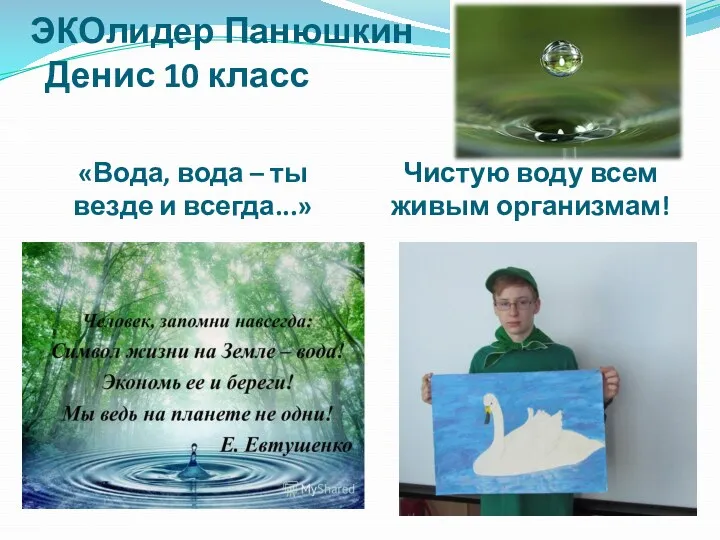 ЭКОлидер Панюшкин Денис 10 класс / «Вода, вода – ты