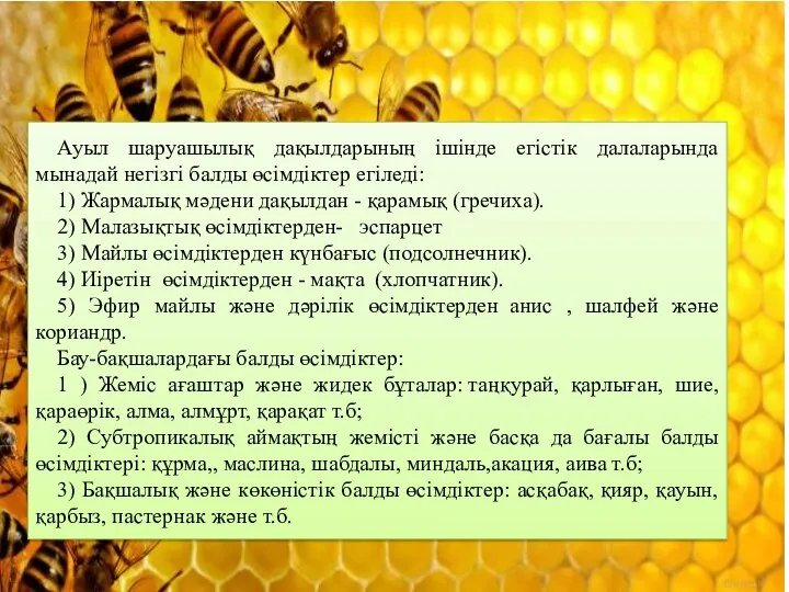 Ауыл шаруашылық дақылдарының ішінде егістік далаларында мынадай негізгі балды өсімдіктер