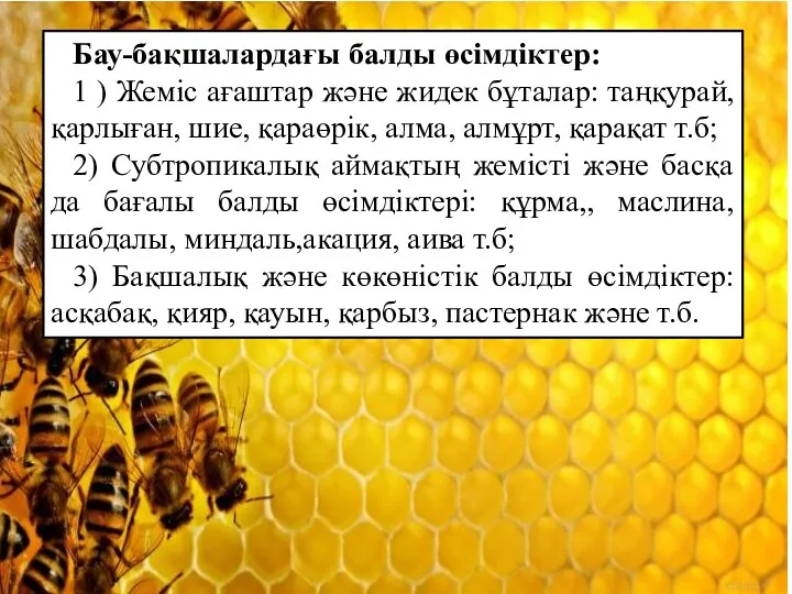 Бау-бақшалардағы балды өсімдіктер: 1 ) Жеміс ағаштар және жидек бұталар: