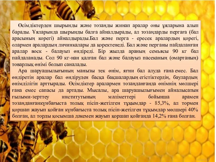 Өсімдіктерден шырынды және тозаңды жинап аралар оны ұяларына алып барады.