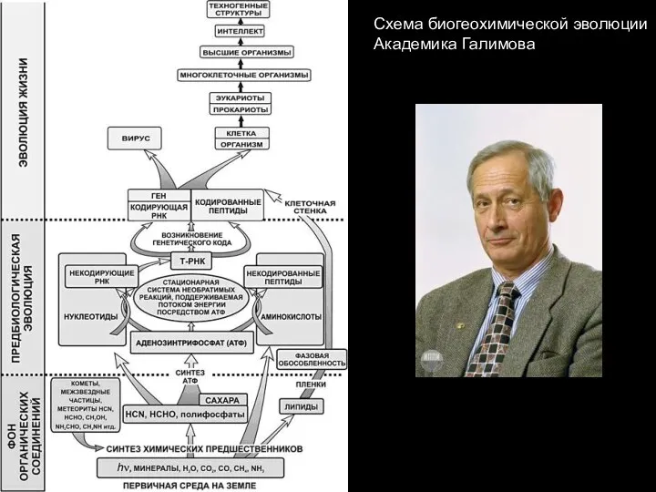 Схема биогеохимической эволюции Академика Галимова