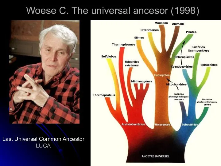 Woese C. The universal ancesor (1998) Last Universal Common Ancestor LUCA