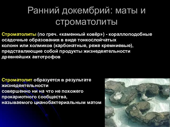 Ранний докембрий: маты и строматолиты Строматолит образуется в результате жизнедеятельности
