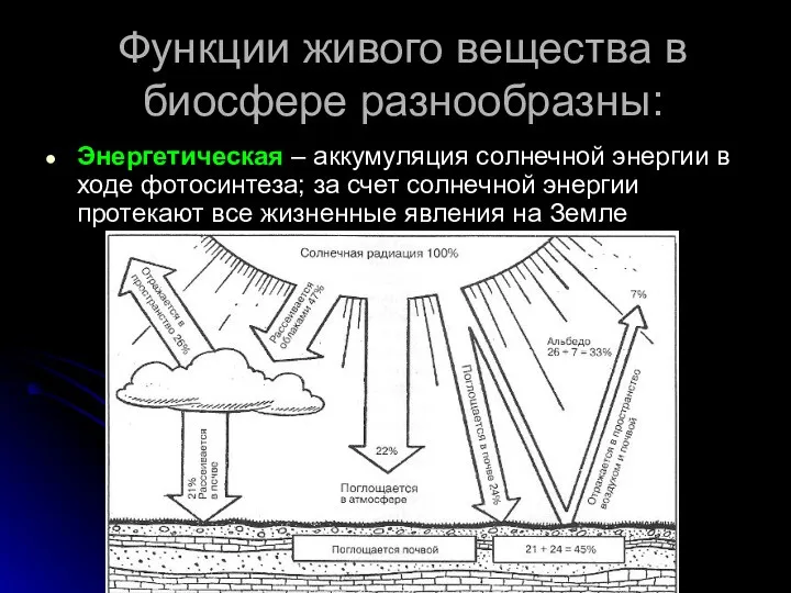 Функции живого вещества в биосфере разнообразны: Энергетическая – аккумуляция солнечной