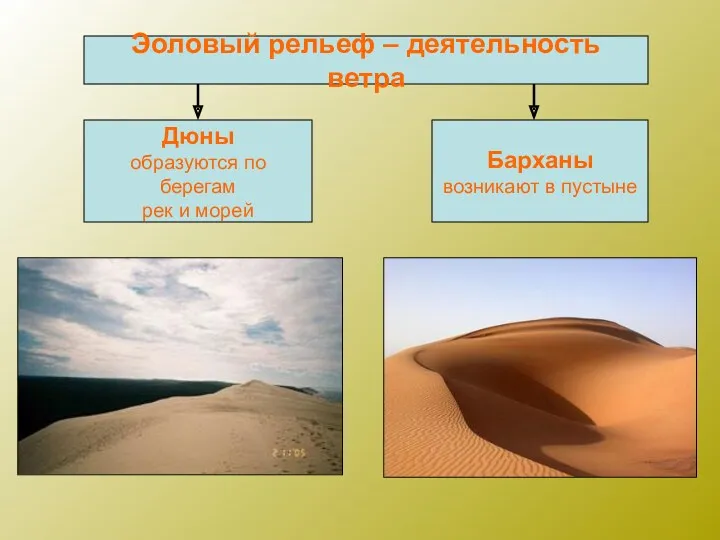 Эоловый рельеф – деятельность ветра Дюны образуются по берегам рек и морей Барханы возникают в пустыне