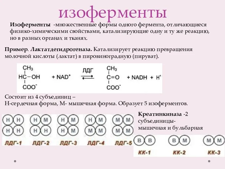 изоферменты Изоферменты -множественные формы одного фермента, отличающиеся физико-химическими свойствами, катализирующие