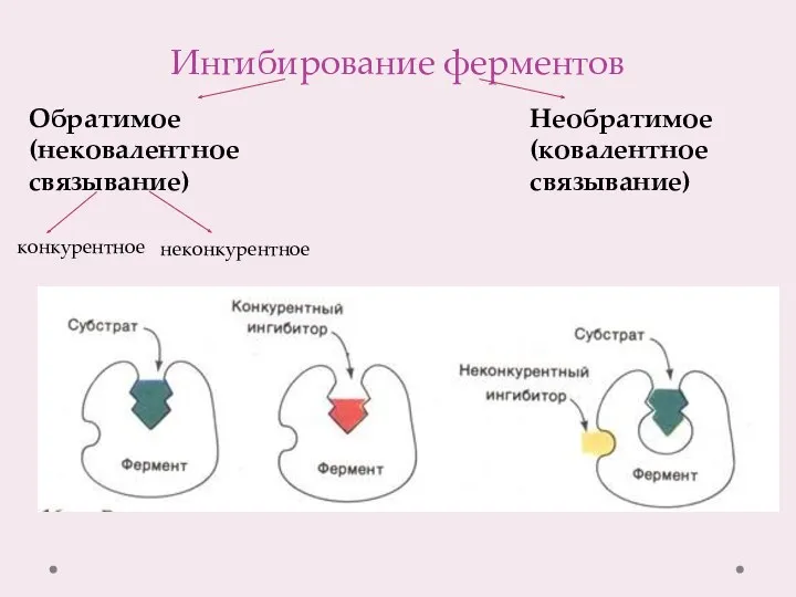 Ингибирование ферментов Обратимое (нековалентное связывание) Необратимое (ковалентное связывание) конкурентное неконкурентное