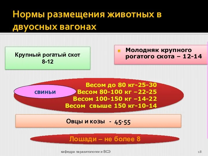 кафедра паразитологии и ВСЭ Нормы размещения животных в двуосных вагонах