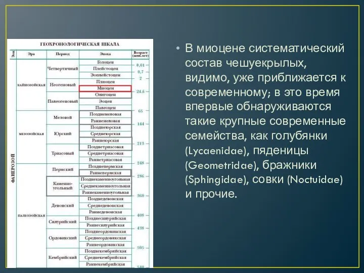 В миоцене систематический состав чешуекрылых, видимо, уже приближается к современному; в это время