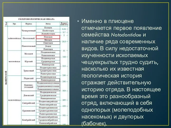 Именно в плиоцене отмечается первое появление семейства Notodontidae и наличие ряда современных видов.