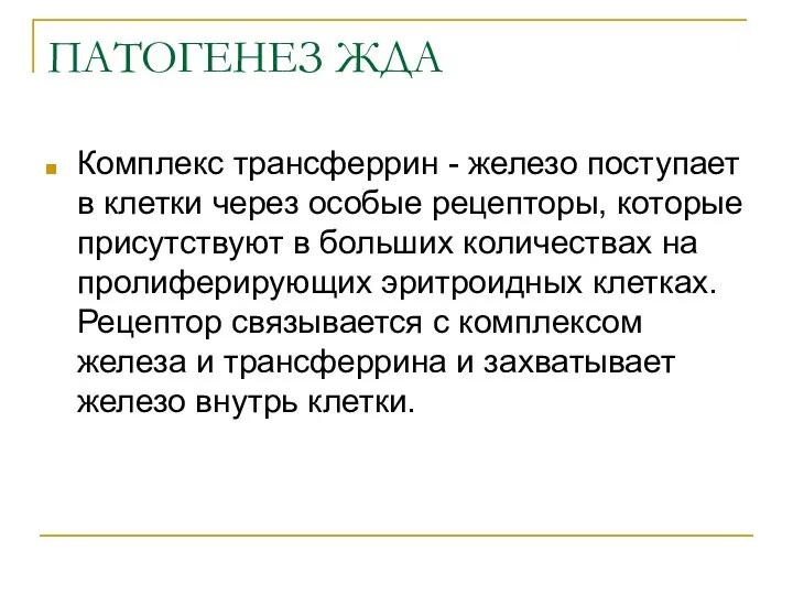 ПАТОГЕНЕЗ ЖДА Комплекс трансферрин - железо поступает в клетки через