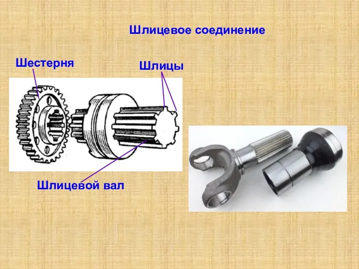 Шлицевое соединение Шестерня Шлицы Шлицевой вал