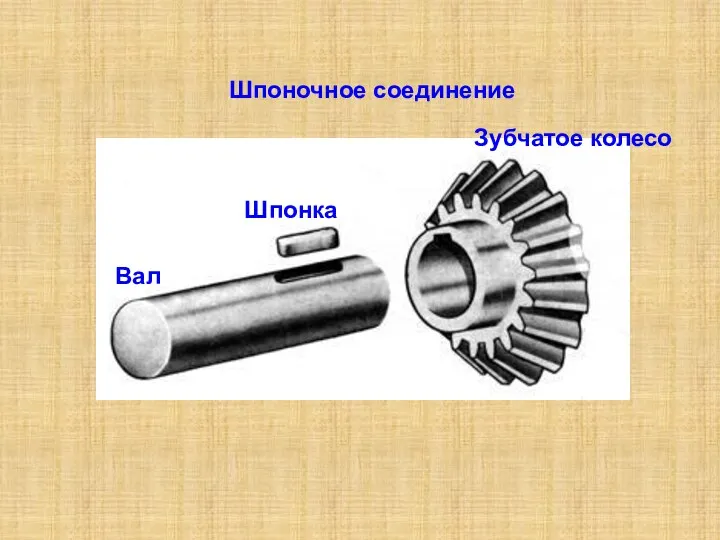 Шпоночное соединение Вал Шпонка Зубчатое колесо