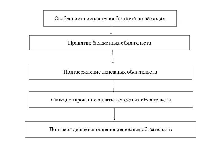 Особенности исполнения бюджета по расходам Принятие бюджетных обязательств Подтверждение денежных