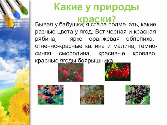 Какие у природы краски? Бывая у бабушки, я стала подмечать,