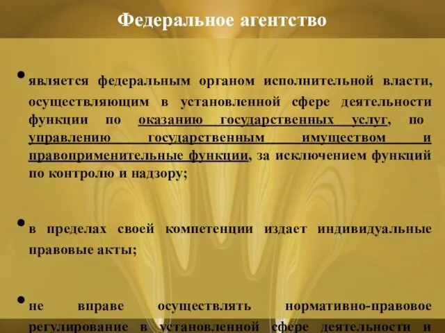 является федеральным органом исполнительной власти, осуществляющим в установленной сфере деятельности функции по оказанию