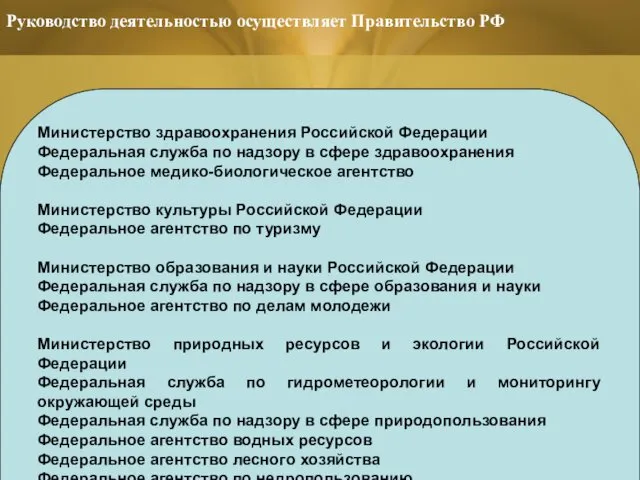 Руководство деятельностью осуществляет Правительство РФ Министерство здравоохранения Российской Федерации Федеральная служба по надзору