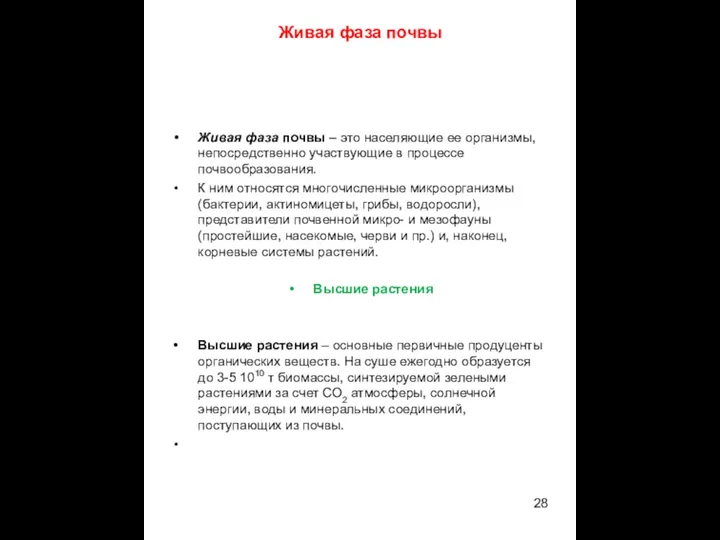 Живая фаза почвы Живая фаза почвы – это населяющие ее