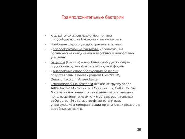 Грамположительные бактерии К грамположительным относятся все спорообразующие бактерии и актиномицеты.