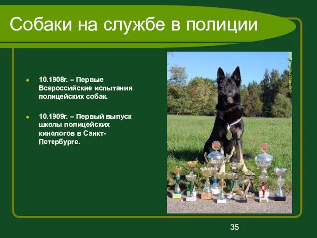 Собаки на службе в полиции 10.1908г. – Первые Всероссийские испытания