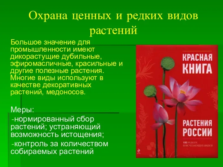 Охрана ценных и редких видов растений Большое значение для промышленности