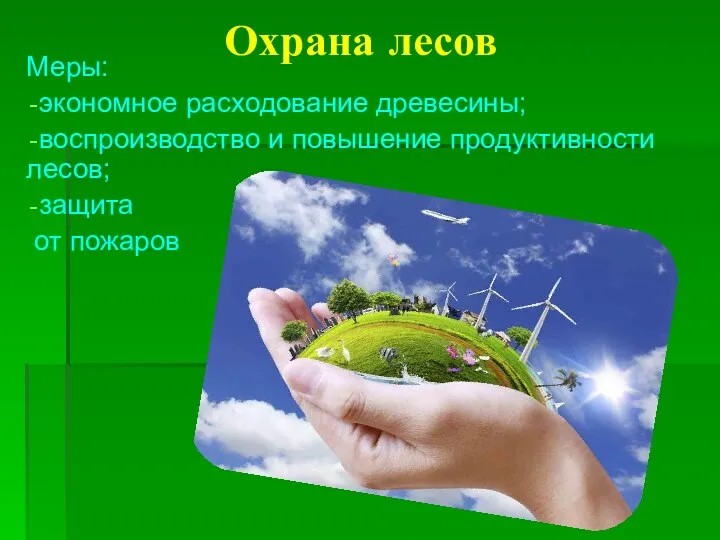 Охрана лесов Меры: экономное расходование древесины; воспроизводство и повышение продуктивности лесов; защита от пожаров