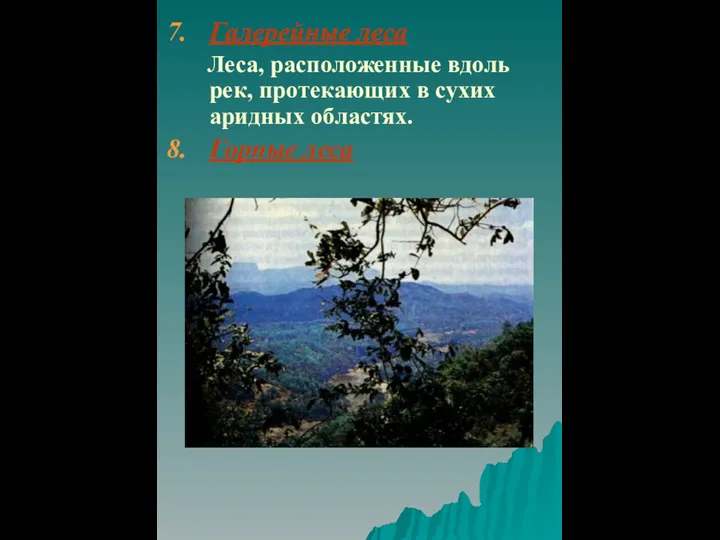 Галерейные леса Леса, расположенные вдоль рек, протекающих в сухих аридных областях. Горные леса