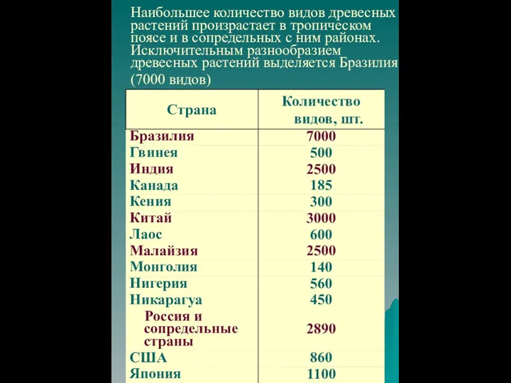 Распределение видов древесных пород по странам мира Наибольшее количество видов