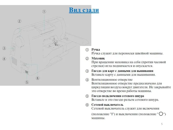 Вид сзади