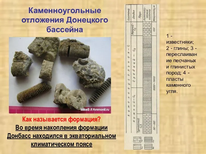 Каменноугольные отложения Донецкого бассейна 1 - известняки; 2 - глины;