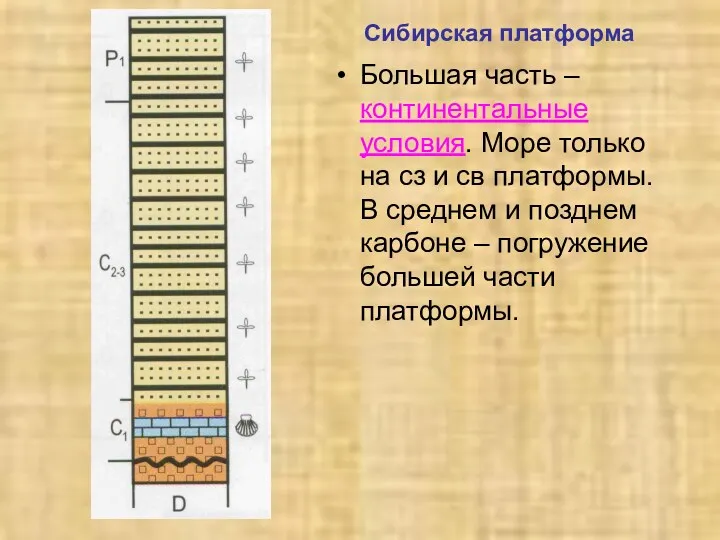 Сибирская платформа Большая часть – континентальные условия. Море только на