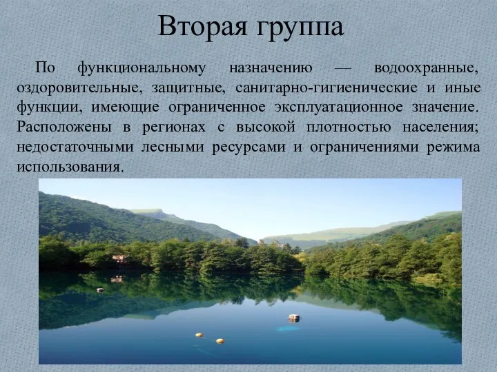 Вторая группа По функциональному назначению — водоохранные, оздоровительные, защитные, санитарно-гигиенические