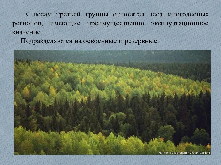 К лесам третьей группы относятся леса многолесных регионов, имеющие преимущественно