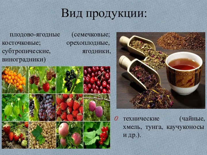 Вид продукции: технические (чайные, хмель, тунга, каучуконосы и др.). плодово-ягодные (семечковые; косточковые; орехоплодные, субтропические, ягодники, виноградники)