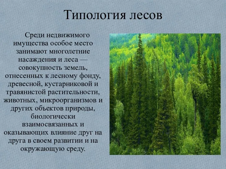 Типология лесов Среди недвижимого имущества особое место занимают многолетние насаждения