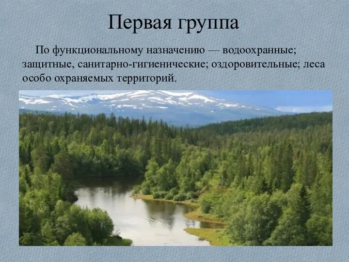 Первая группа По функциональному назначению — водоохранные; защитные, санитарно-гигиенические; оздоровительные; леса особо охраняемых территорий.