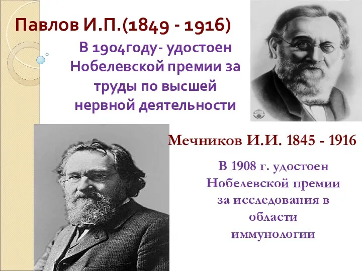 Павлов И.П.(1849 - 1916) В 1904году- удостоен Нобелевской премии за труды по высшей