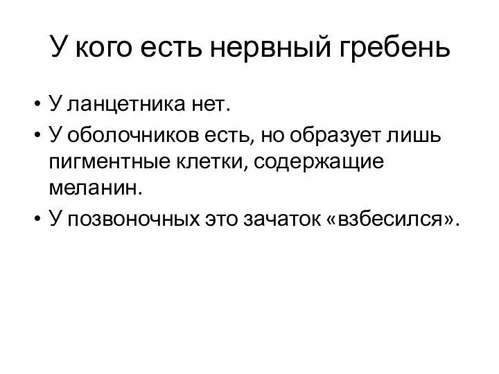 У кого есть нервный гребень У ланцетника нет. У оболочников