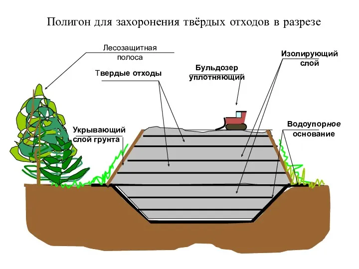 Полигон для захоронения твёрдых отходов в разрезе Твердые отходы Изолирующий слой Лесозащитная полоса