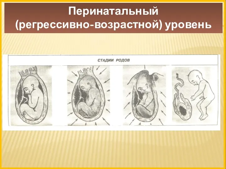 Перинатальный (регрессивно-возрастной) уровень